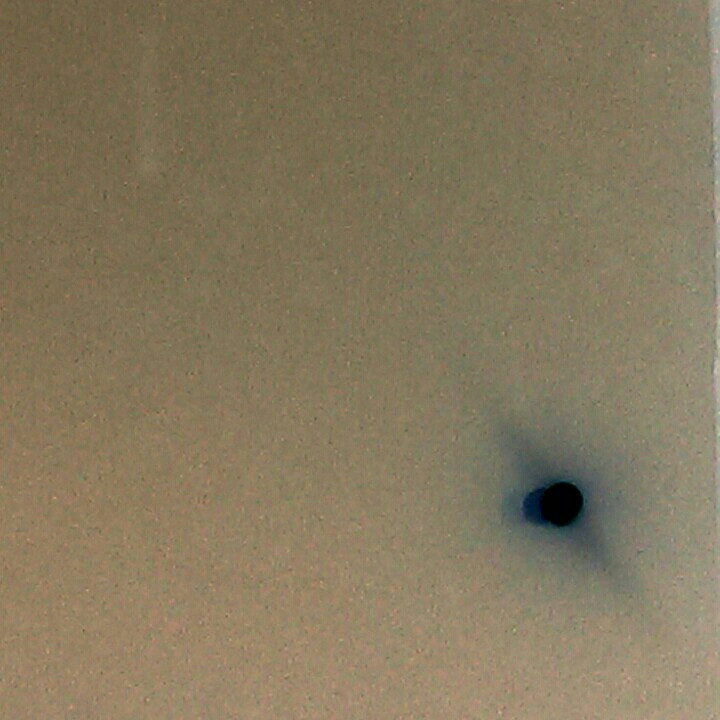 额~啦啦啦