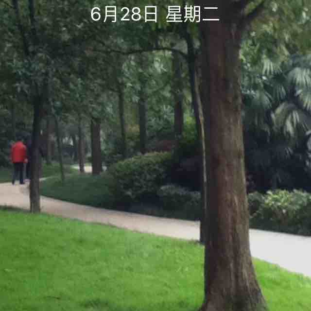 为了誰