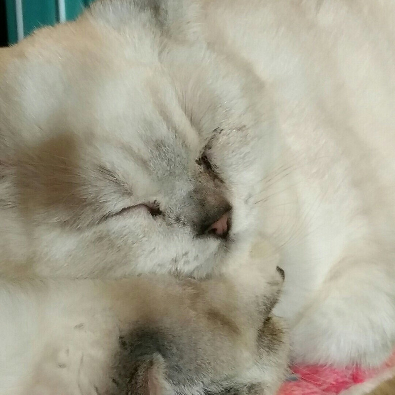度