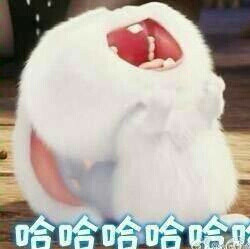 脏妮儿77