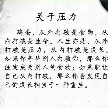 小蜻蜓