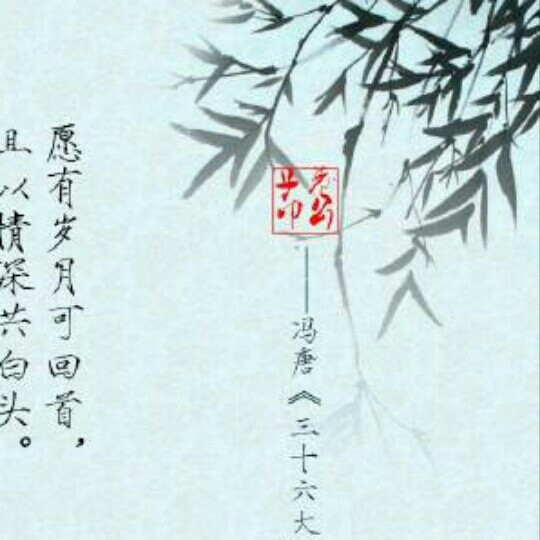 陈金国
