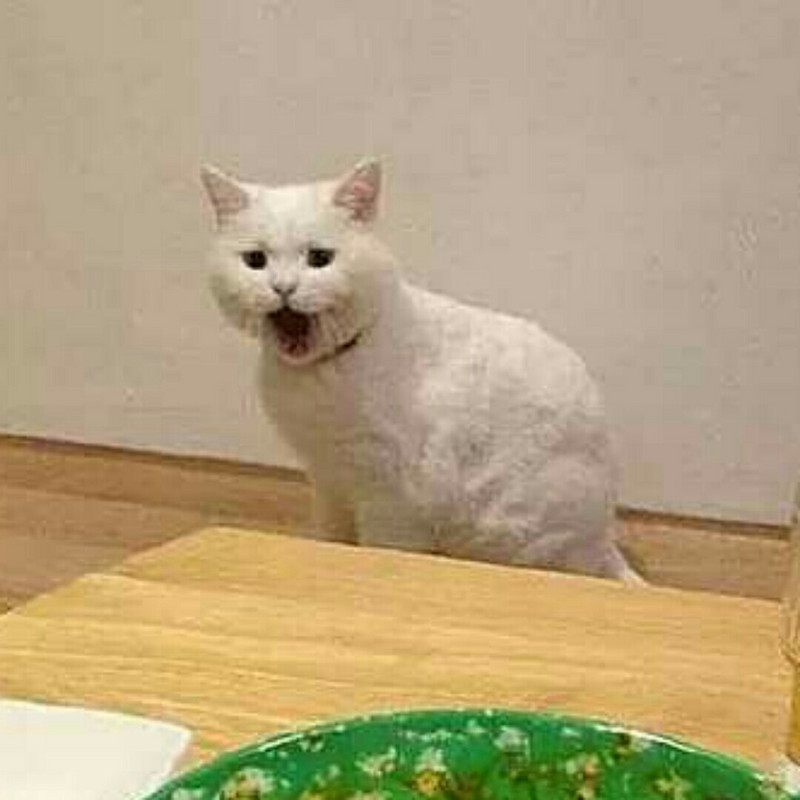 西瓜