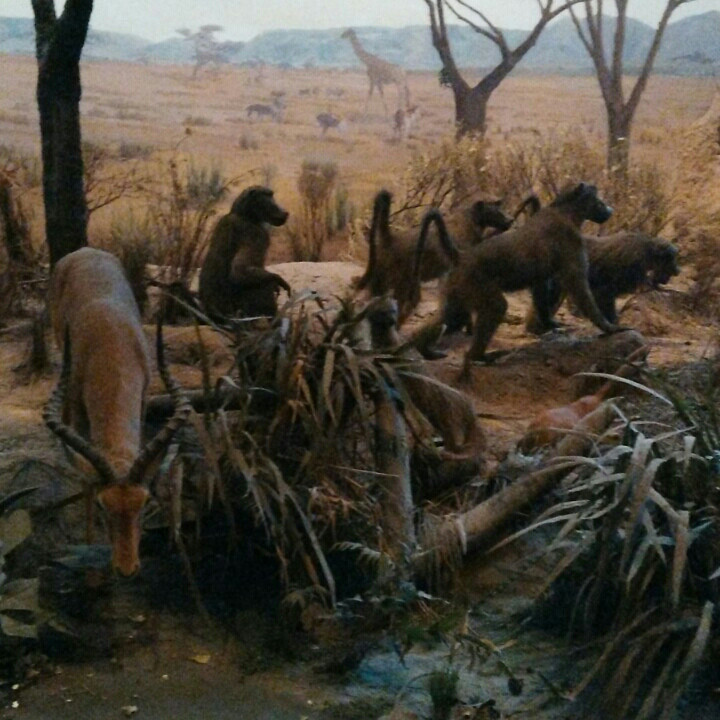 尹浩然