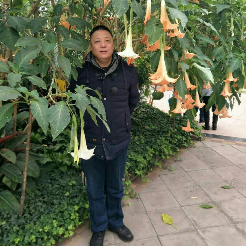  巨子