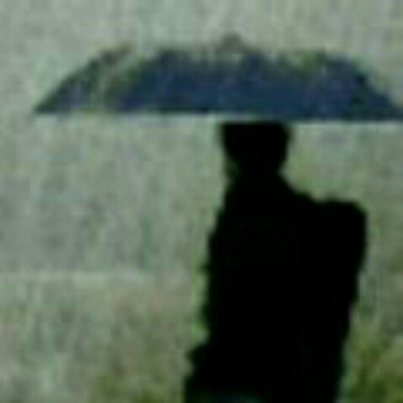醉雨听月