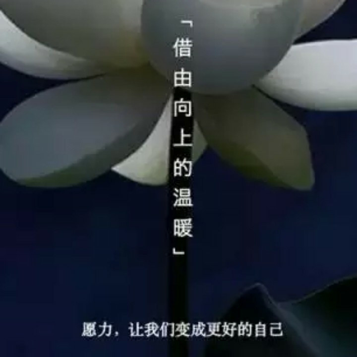 抓狂年代