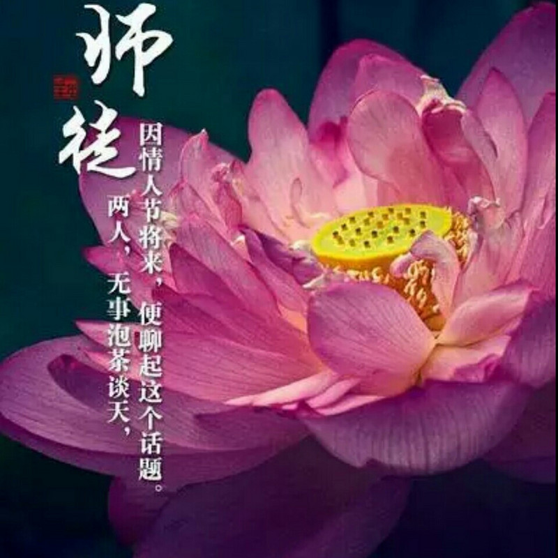 善缘·