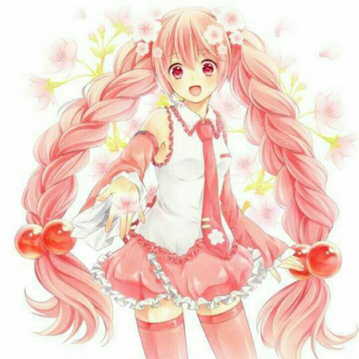 芬芳蔷薇