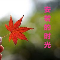 安若的时光