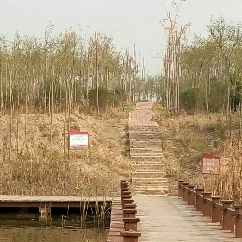 我是彤宝