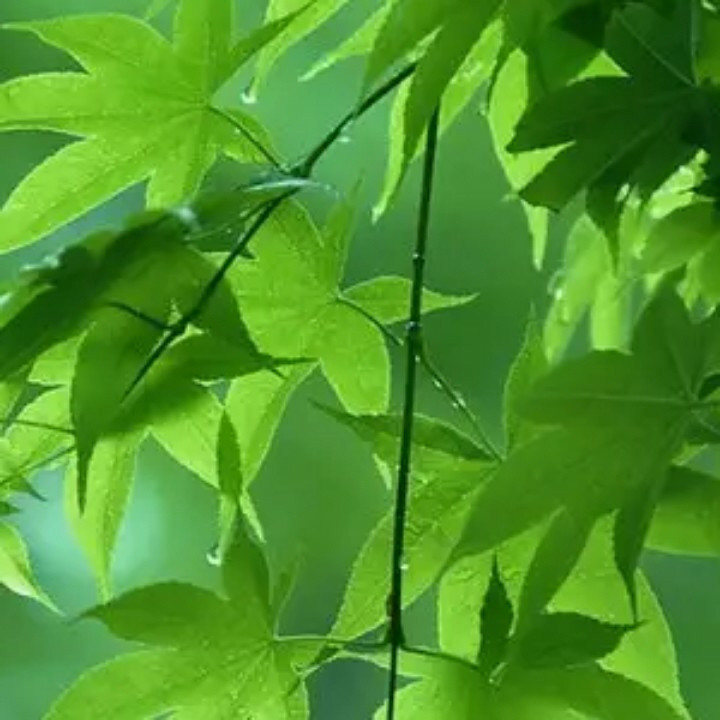 好心情