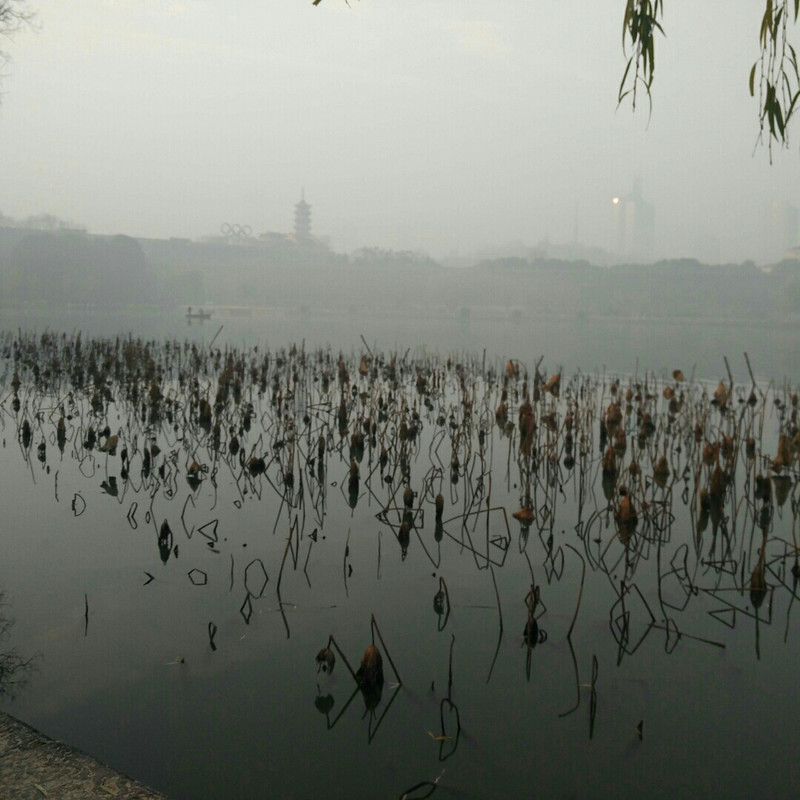 在逗我
