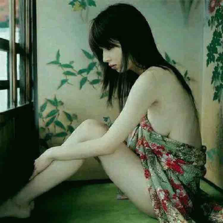 毛驴游世界