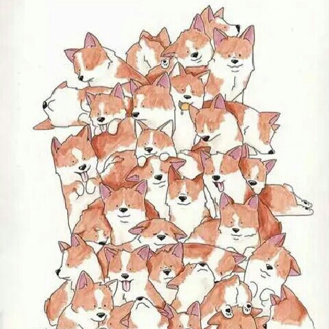 颜狗A