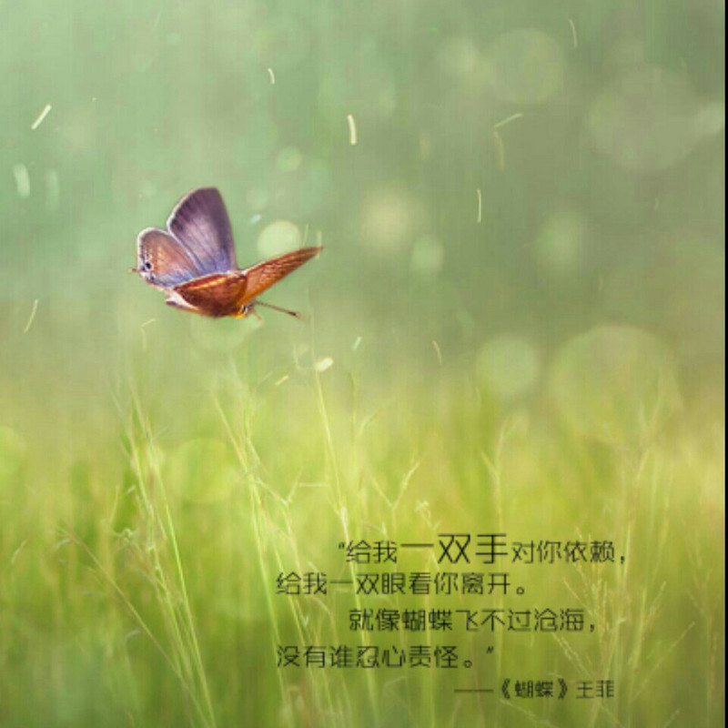 木易云蒸霞蔚
