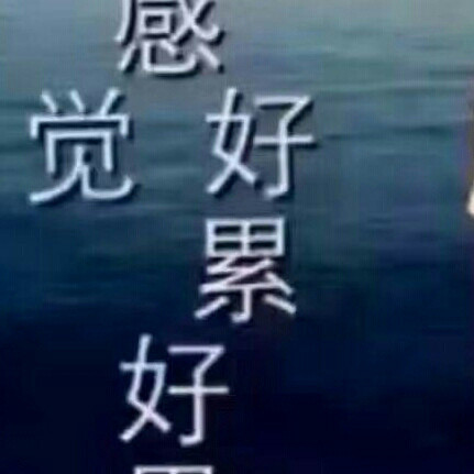 芝诺