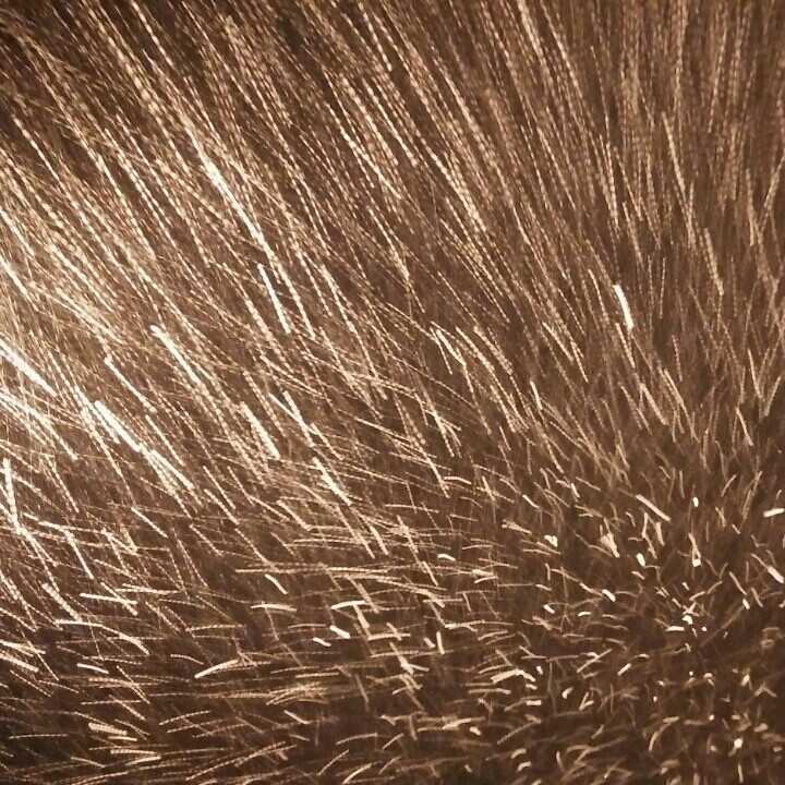 金色阳光