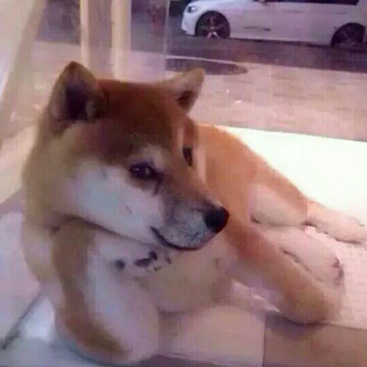 莫愁