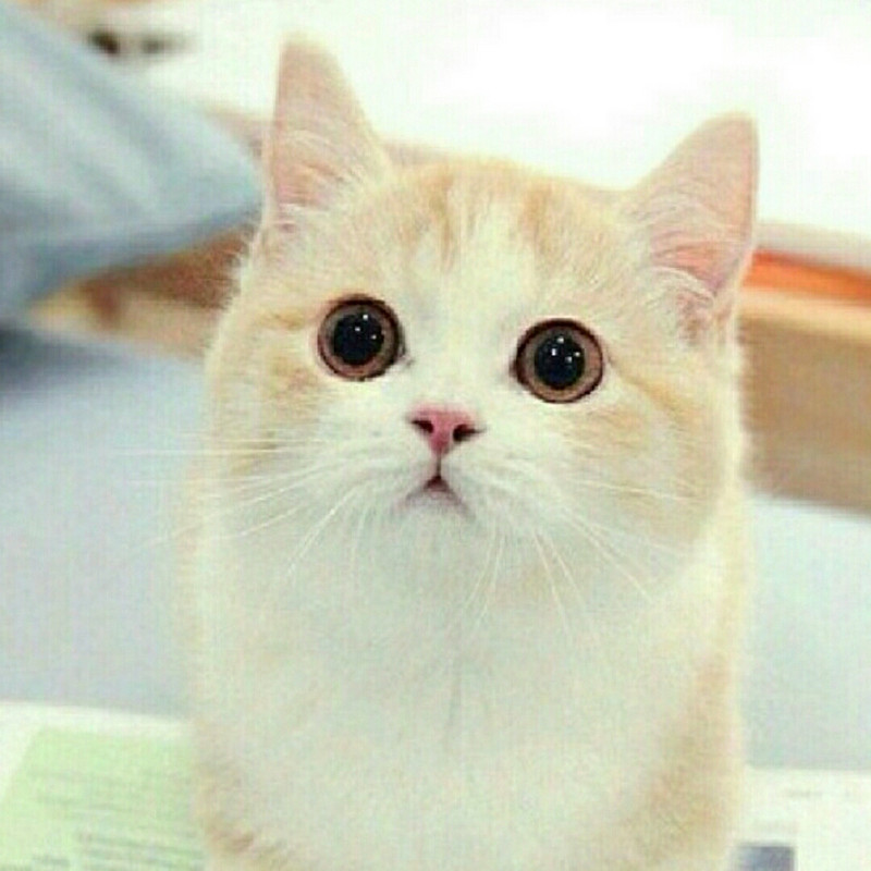 旧记忆小时光