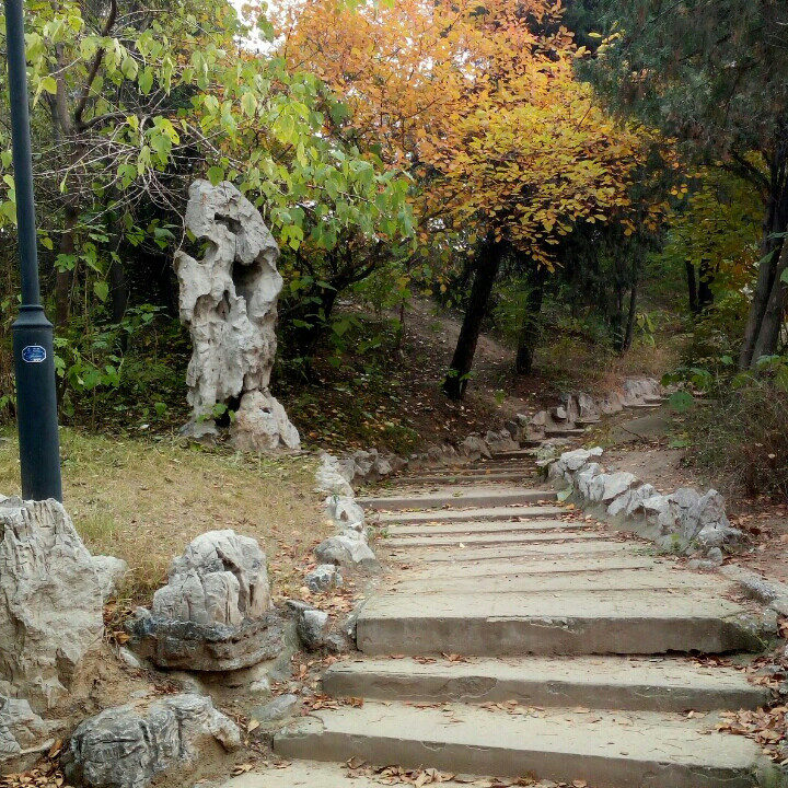 主旋律