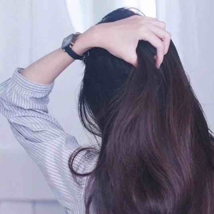 艾尔巴宝丽丝
