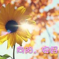 向阳，安好