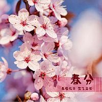 2017年春分节目—春雨如膏