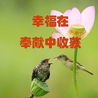 幸福在奉献中收获