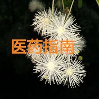 医药指南