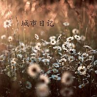城市日记