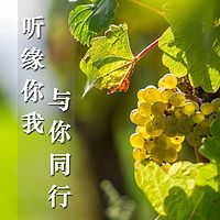 听缘你我，与你同行