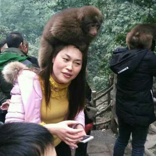 人生若只如初见