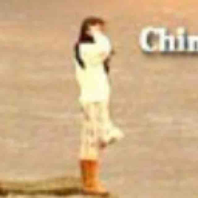 蝶 庄周