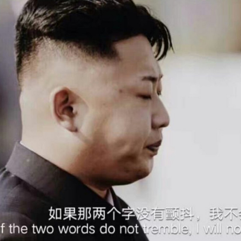 我的汪叫恩佐斯