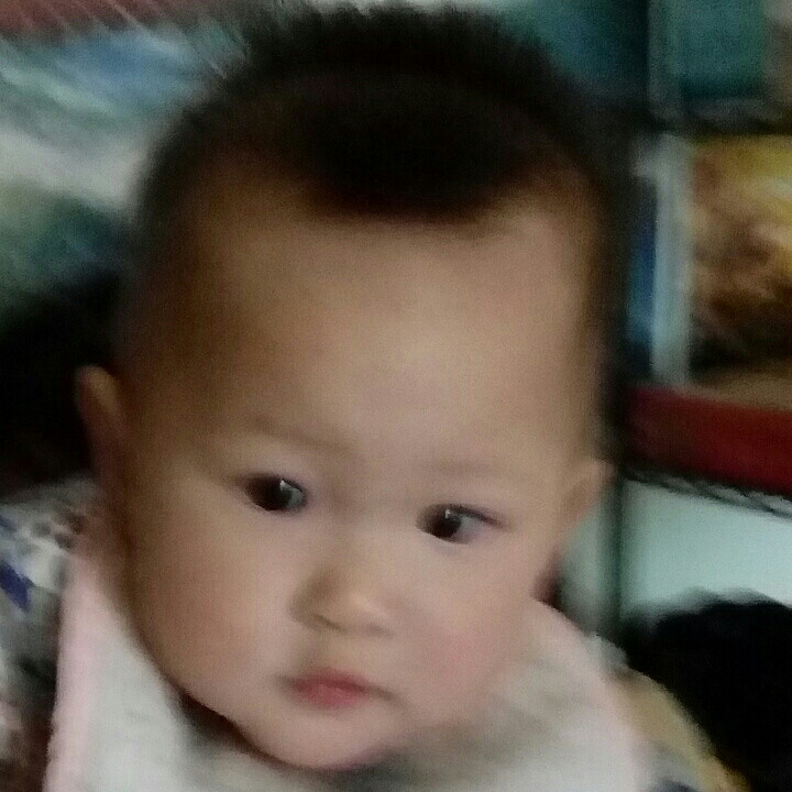 洛基