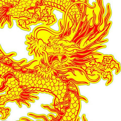 譚會華龍鳳呈祥
