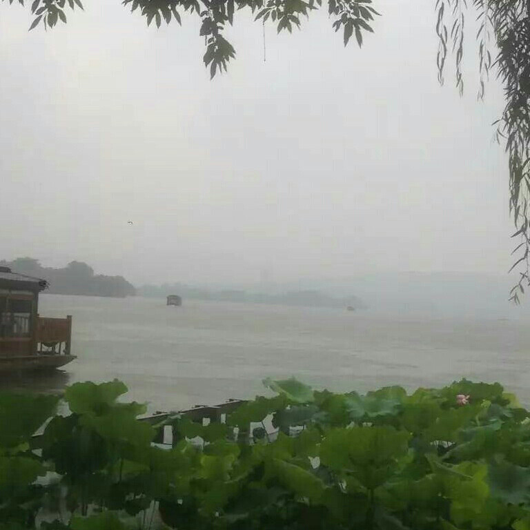 太极梦