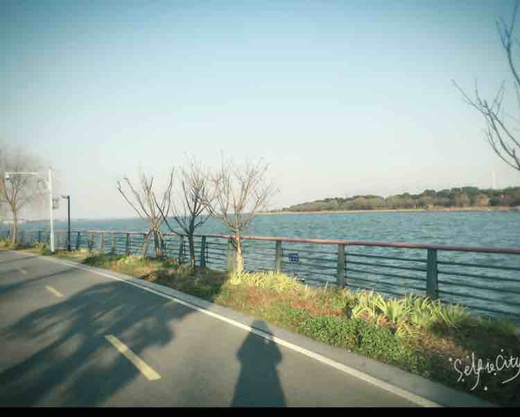 明夕何夕，君已陌路。一个人