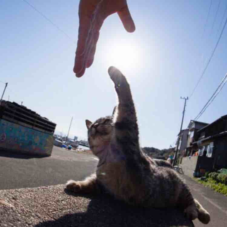 顺其自然