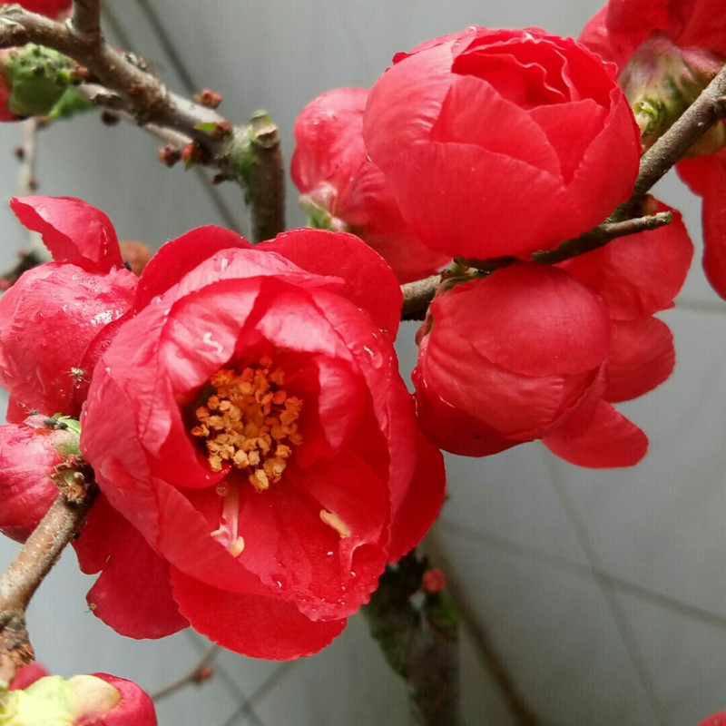 雨过天晴