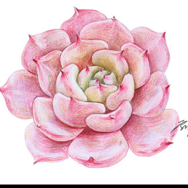 淼淼森森