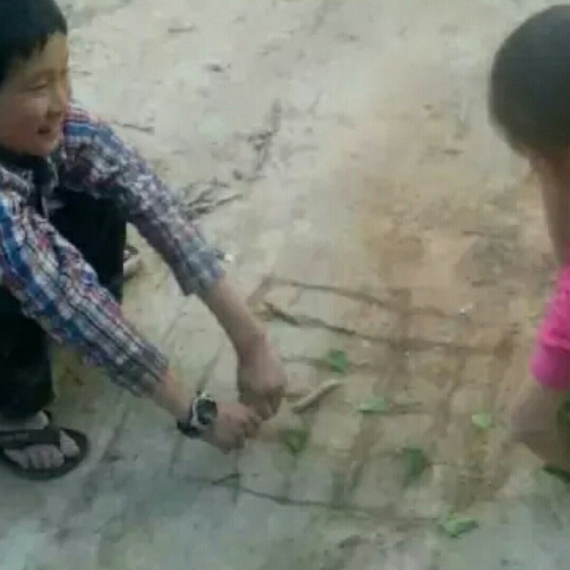 云飞