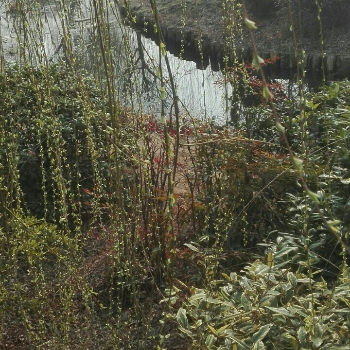 魔法的城堡