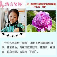 绮言笑语-牡丹