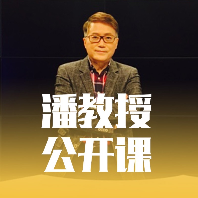 潘知常讲座精选