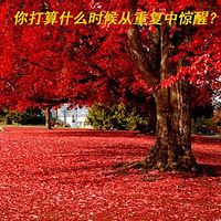 你打算什么时候从重复中惊醒？
