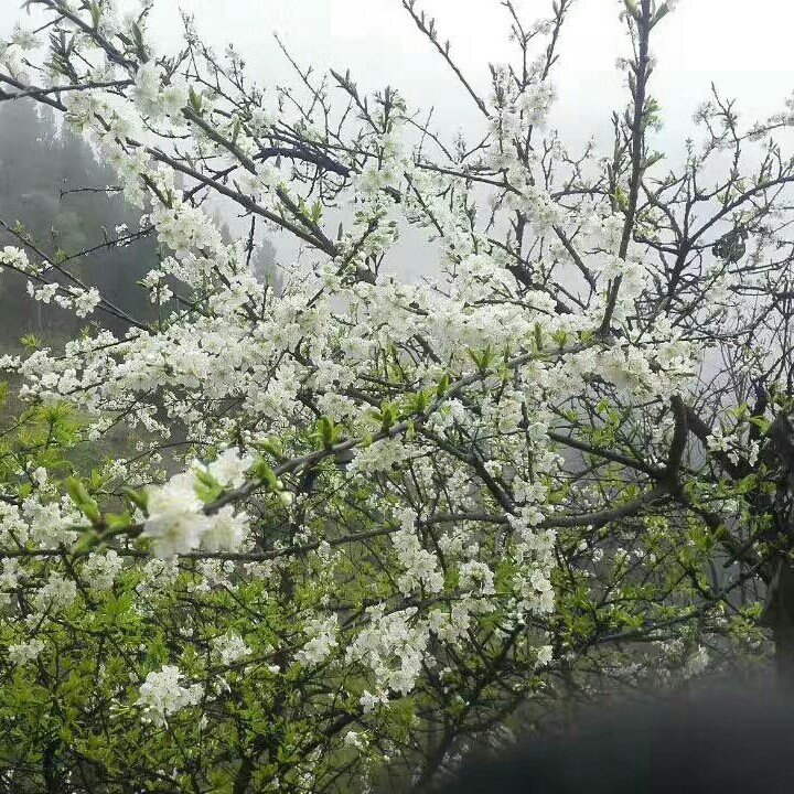 端端