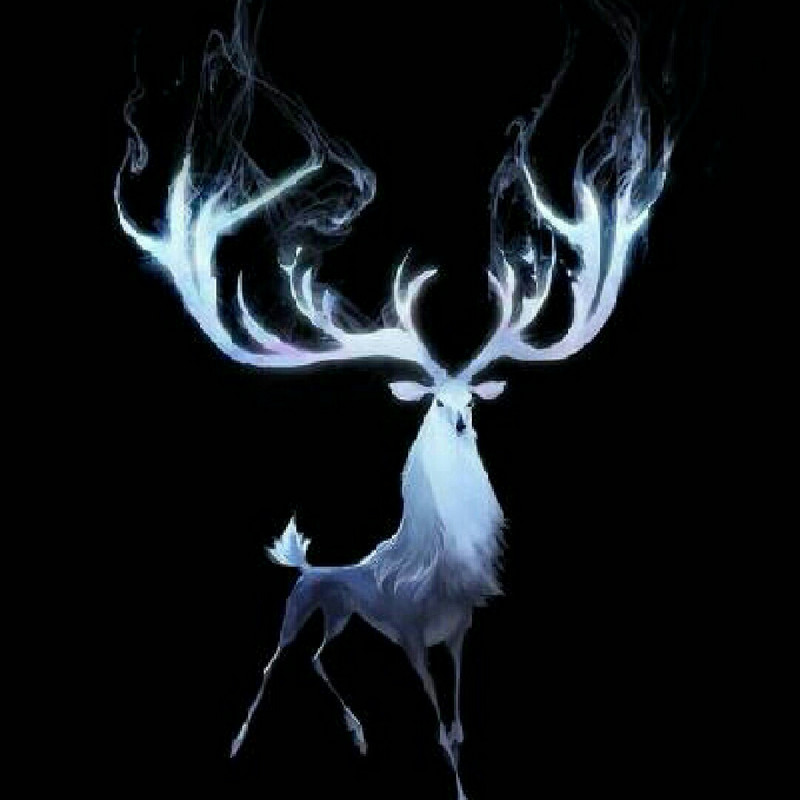 追洋恋颖的四叶草