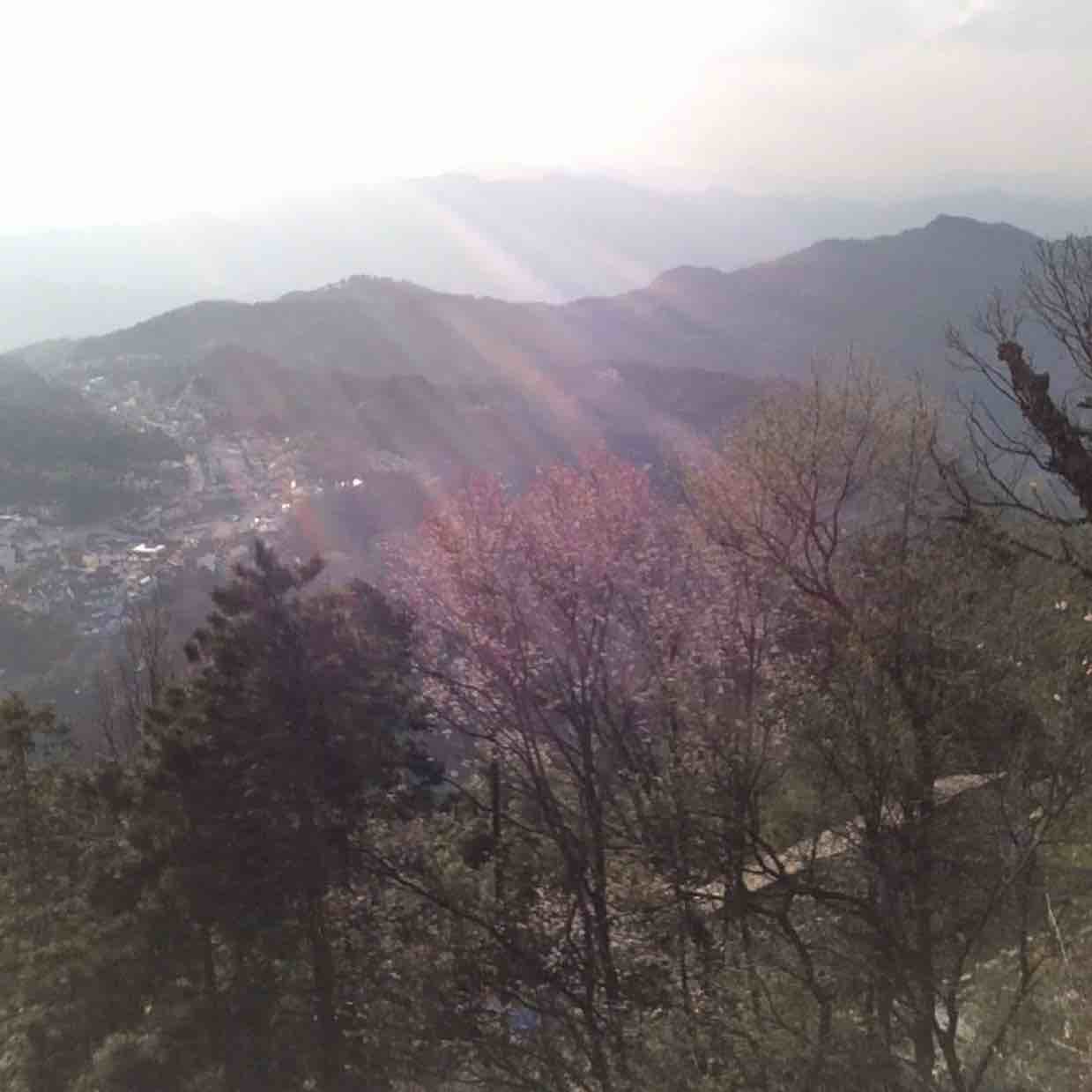 久未动心，因为你动心。